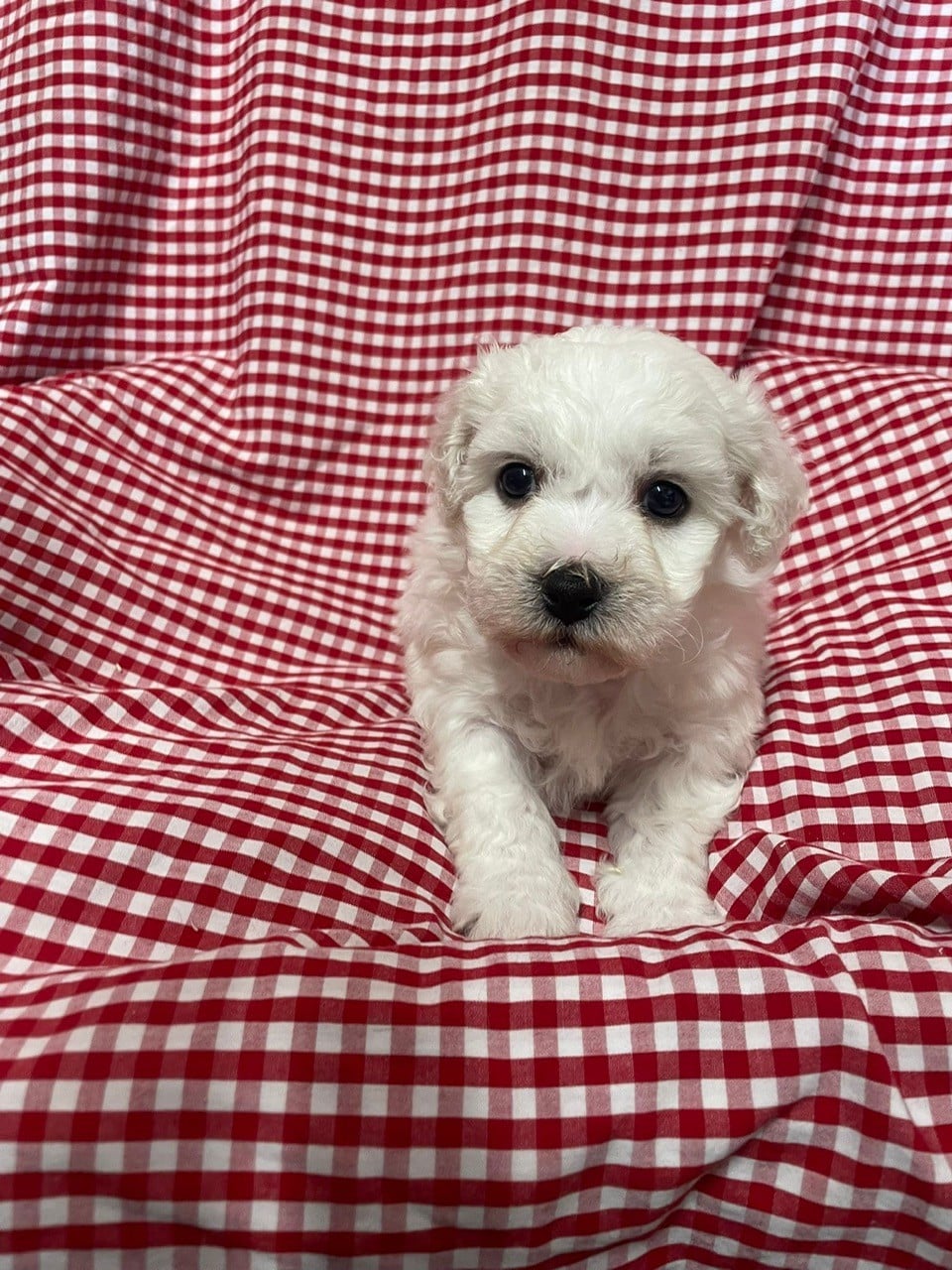 B... des Sentiers du Perche