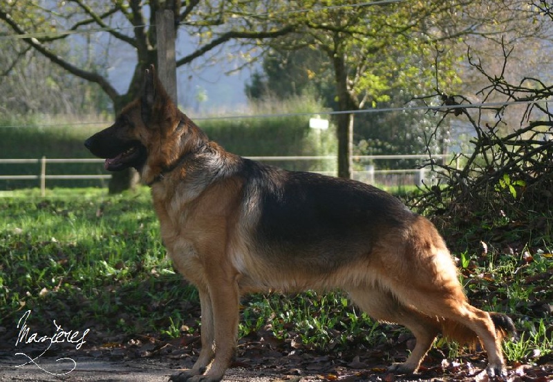 Publication : Du Domaine De Mazières