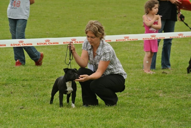 Generation x ' plosive des plaines des Bruyères - Prometteur