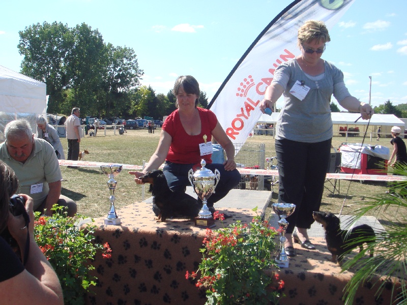 Publication : Des Teck' Elfes Du Vexin