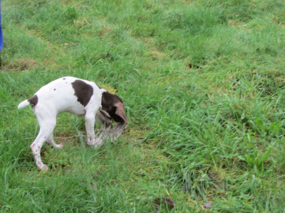 Du Vallon Des Gourbettes