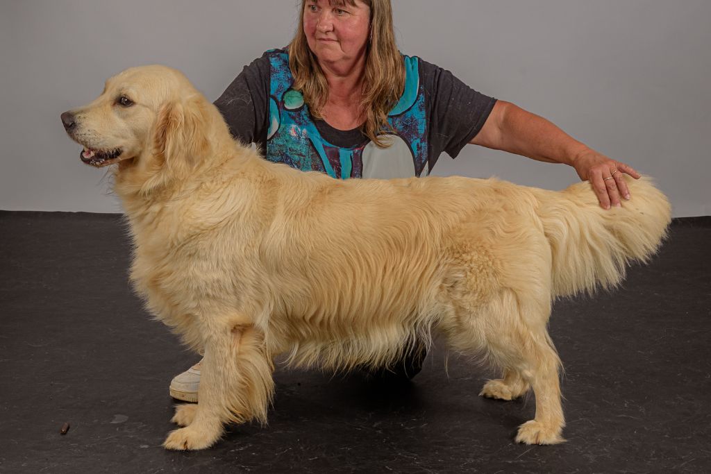 United color lagherta Des Grenouillettes Du Vexin