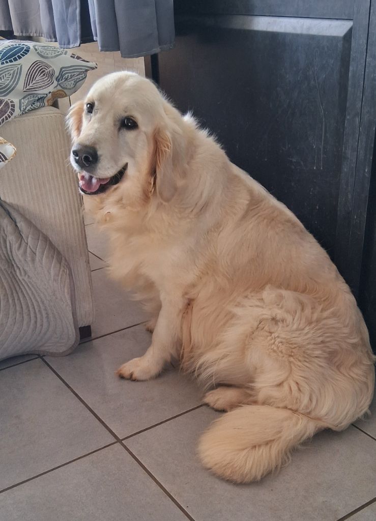 United color lagherta Des Grenouillettes Du Vexin