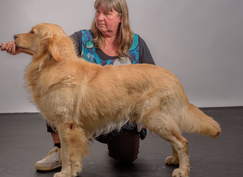 Uther rainbow's light Des Grenouillettes Du Vexin