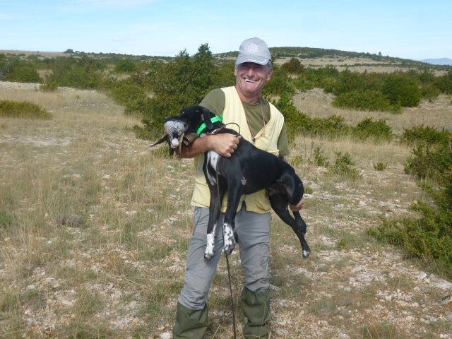 TR. Gribouille (Sans Affixe) - EXC