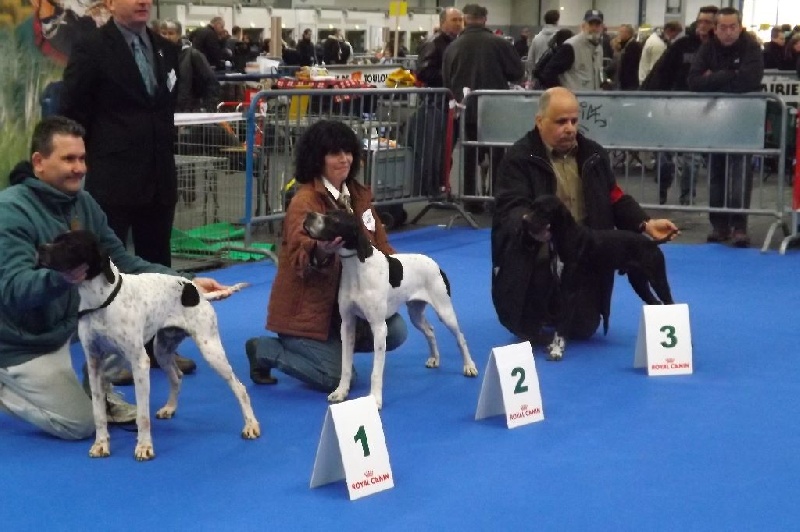 TR. Gribouille (Sans Affixe) - 3 eme EXC