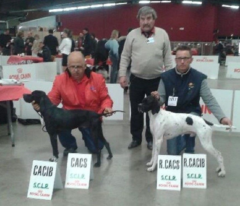 TR. Gribouille (Sans Affixe) - 1 EXC CACS CACIB MR