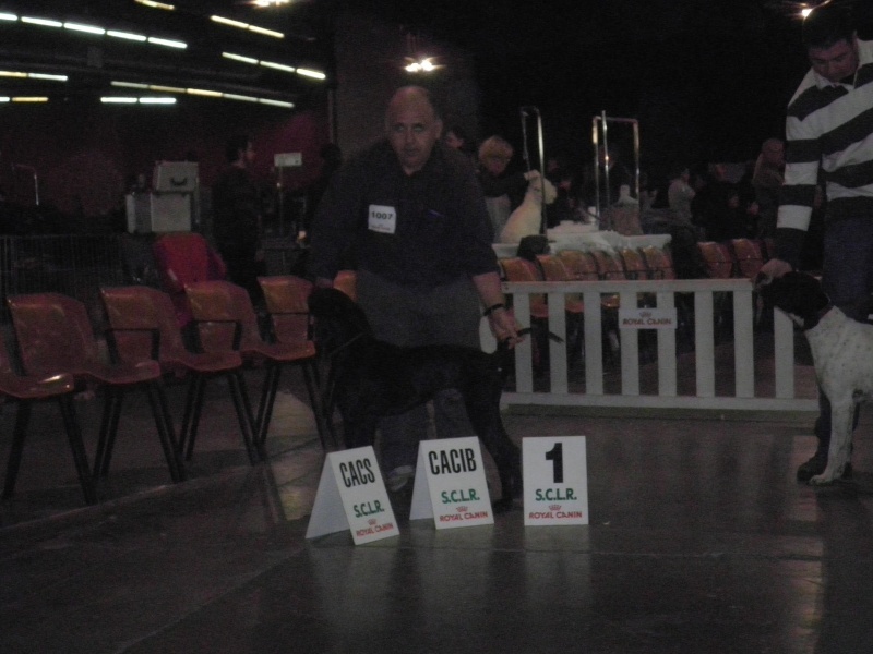 TR. Gribouille (Sans Affixe) - CACIB MEILLEUR DE RACE