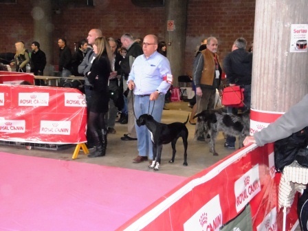 TR. Gribouille (Sans Affixe) - 1 ER EXC