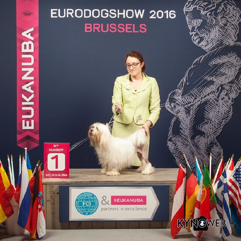 CH. Chic choix Calais ophélie - 1ère excellent en classe vétéran