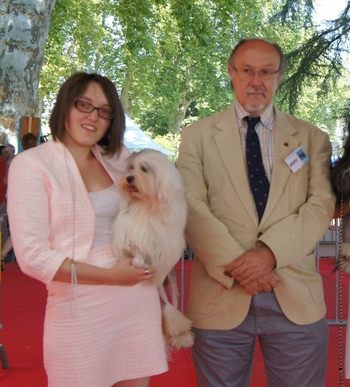 CH. Chic choix Calais ophélie - 1ère excellent en classe champion CACIB