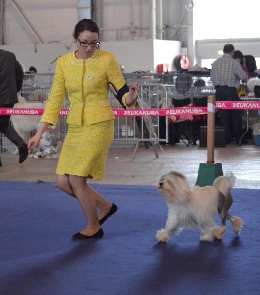 CH. Chic choix Calais ophélie - 1ère excellent BOB Vétéran