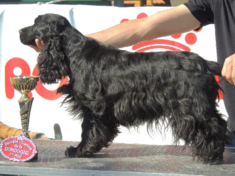 Ghost unchained melody des dames de la forêt barrade - 1 ere excellent