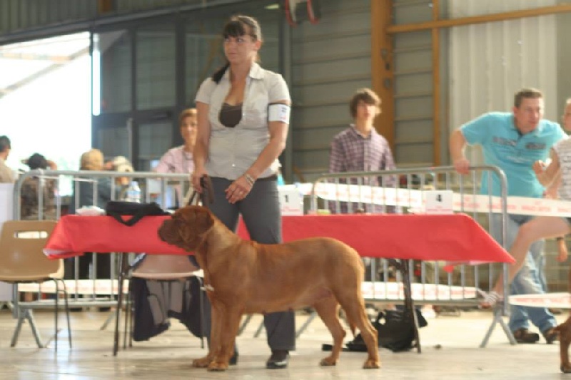 Faïz (Sans Affixe) - 3ème Excellent