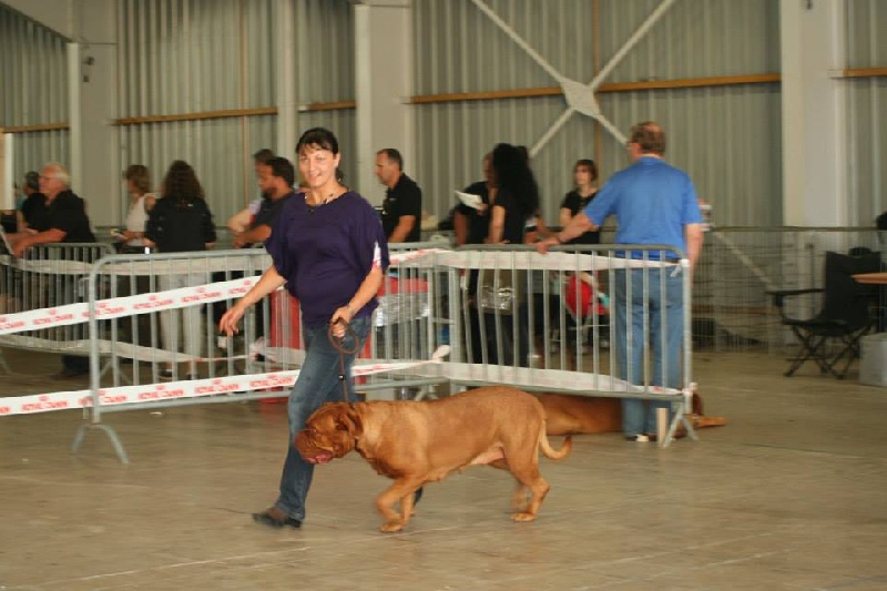 Faïz (Sans Affixe) - 2ème Excellent