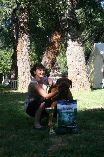 Faïz (Sans Affixe) - Ring d'honneur Excellent