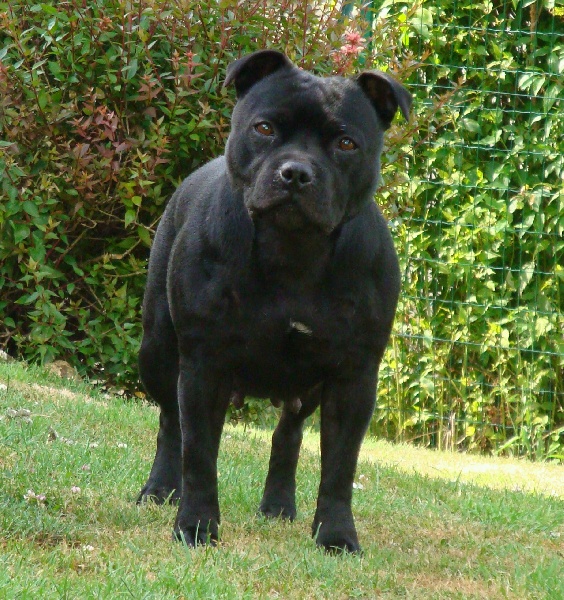 Publication : Esoxpack Auteur : Esoxpack