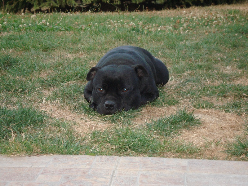 Publication : Esoxpack Auteur : Esoxpack