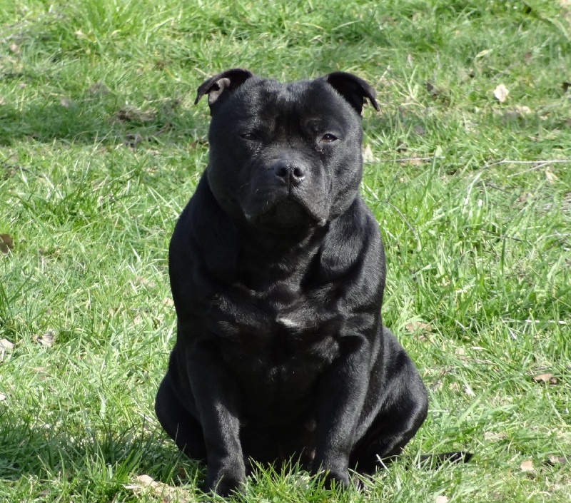 Publication : Esoxpack Auteur : Esoxpack