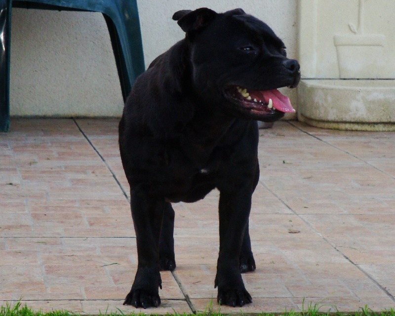 Publication : Esoxpack Auteur : Esoxpack