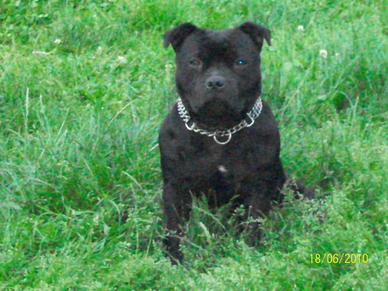 Publication : Esoxpack Auteur : Esoxpack