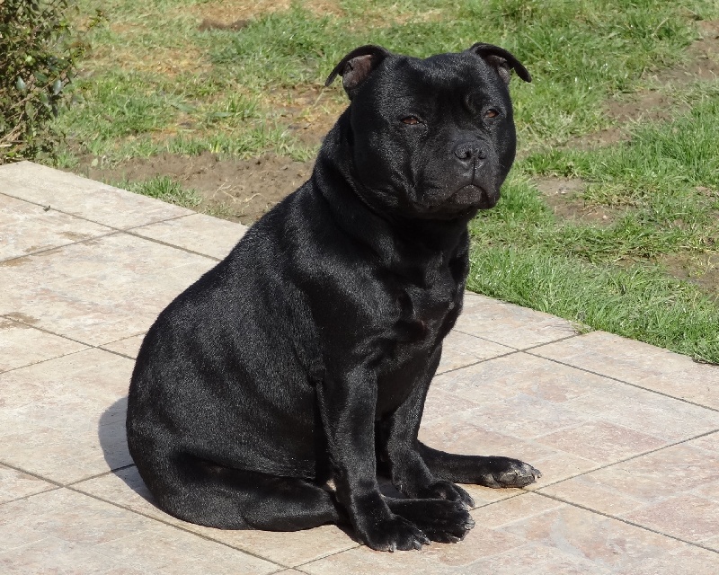 Publication : Esoxpack Auteur : Esoxpack