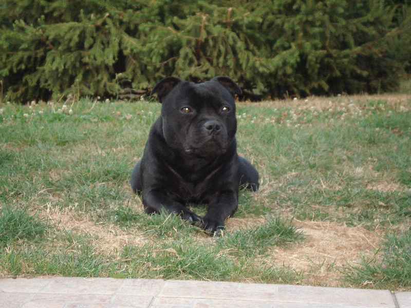 Publication : Esoxpack Auteur : Esoxpack