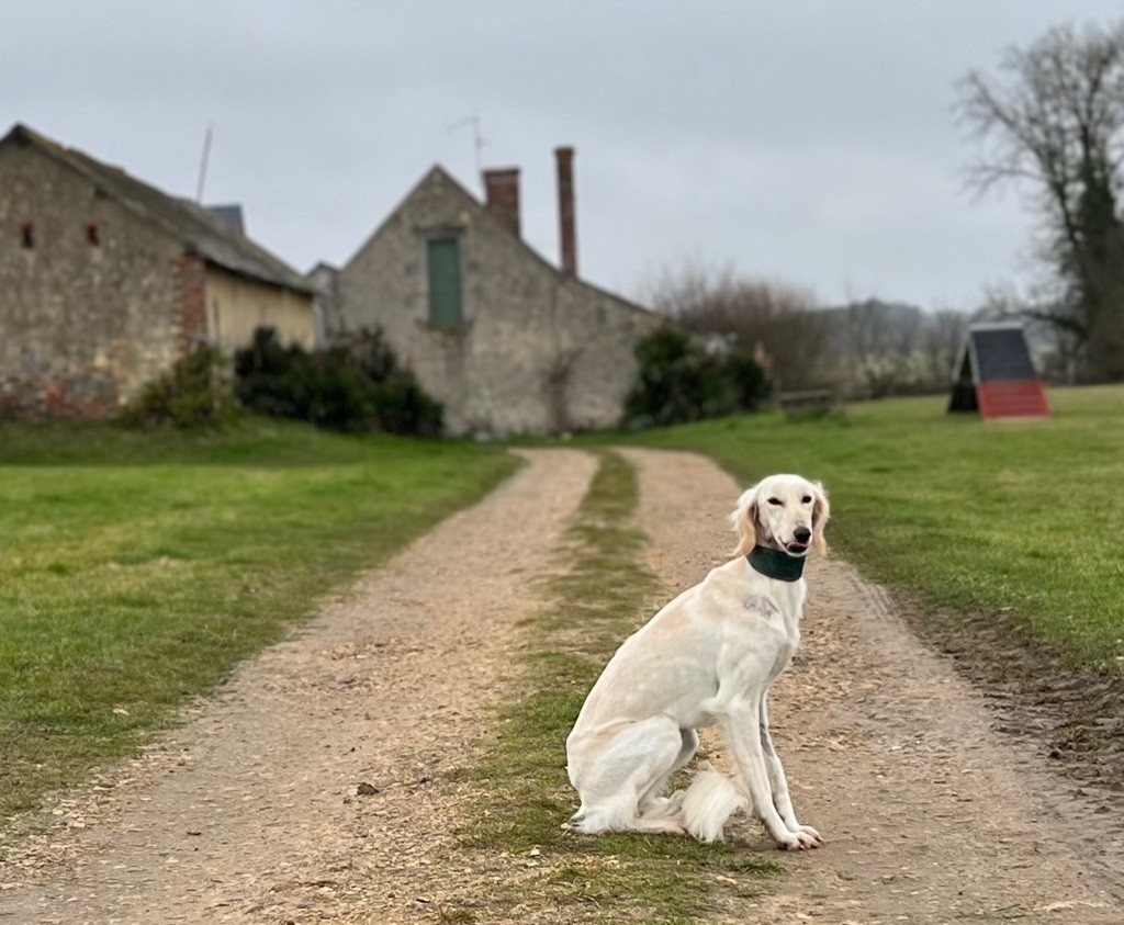 Publication : Du Soleil Vert Auteur : Soleil Vert