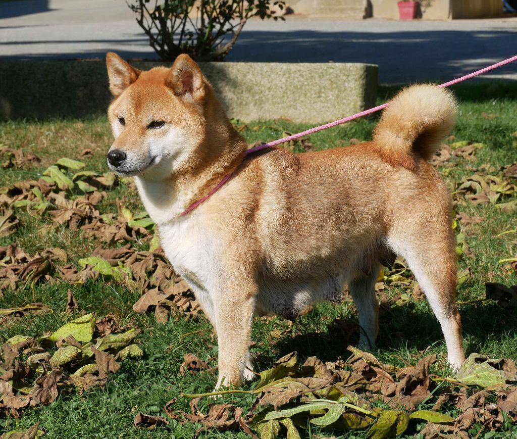 Sephira De La Source Des Rochettes
