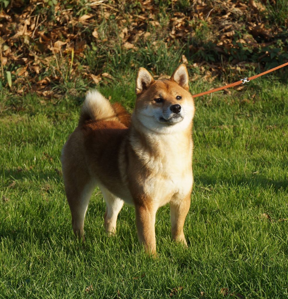 Publication : De La Source Des Rochettes Auteur : Vanessa Clairet