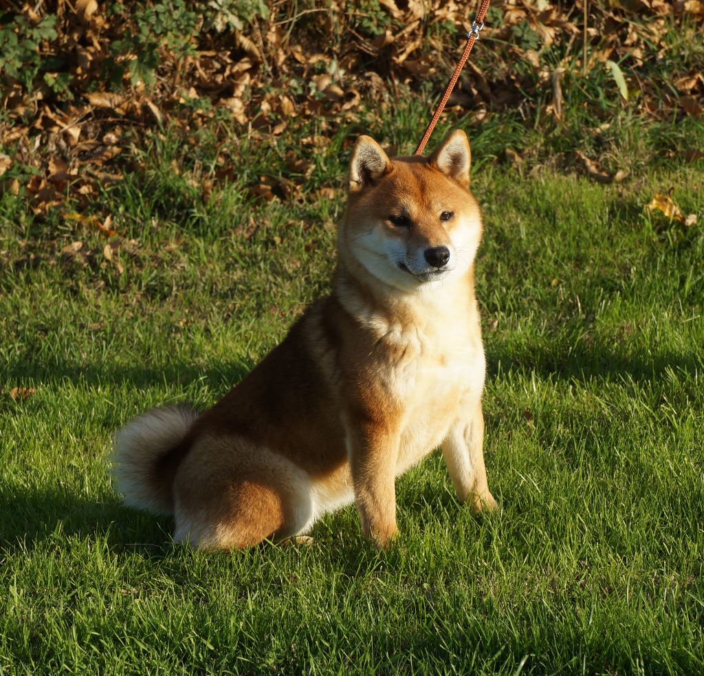 Publication : De La Source Des Rochettes Auteur : Vanessa Clairet