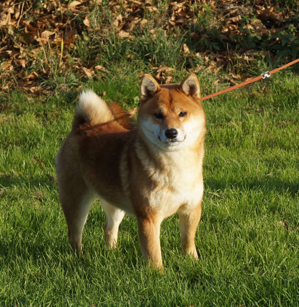 Publication : De La Source Des Rochettes Auteur : Vanessa Clairet