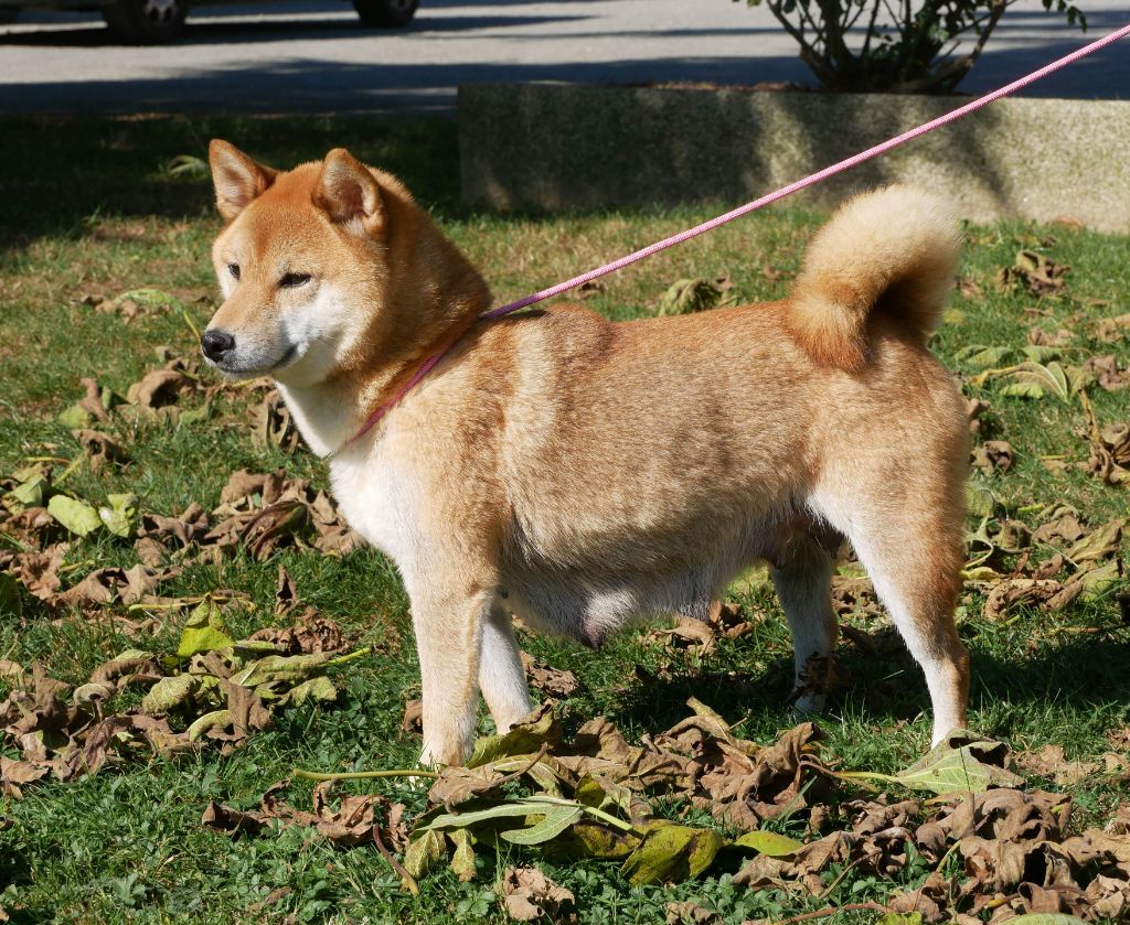 Sephira De La Source Des Rochettes