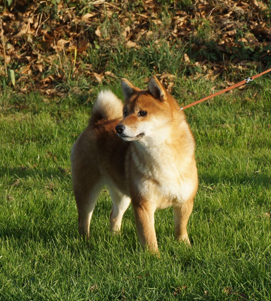 Publication : De La Source Des Rochettes Auteur : Vanessa Clairet