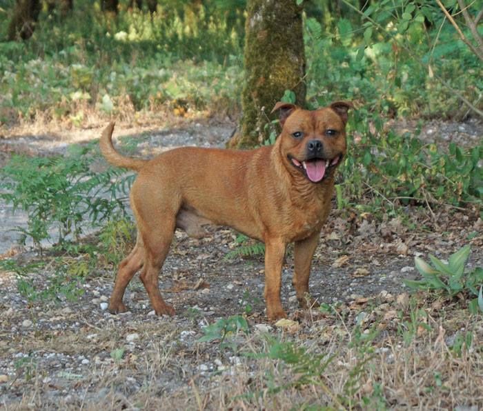 Publication : Dimteamdogz