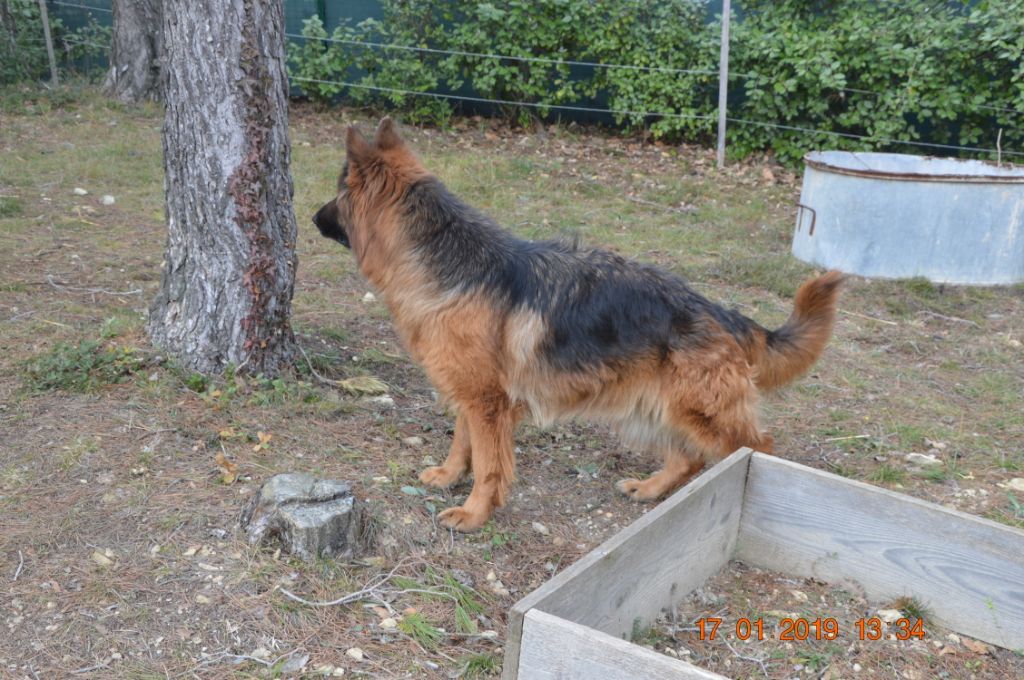 Publication : Des Terres D'Harmony