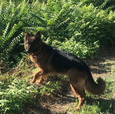 Publication : Des Terres D'Harmony