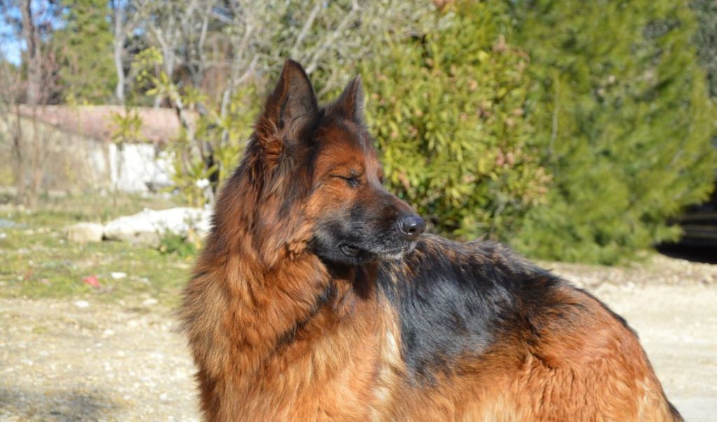 Publication : Des Terres D'Harmony