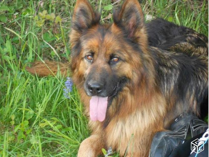 Publication : Des Terres D'Harmony