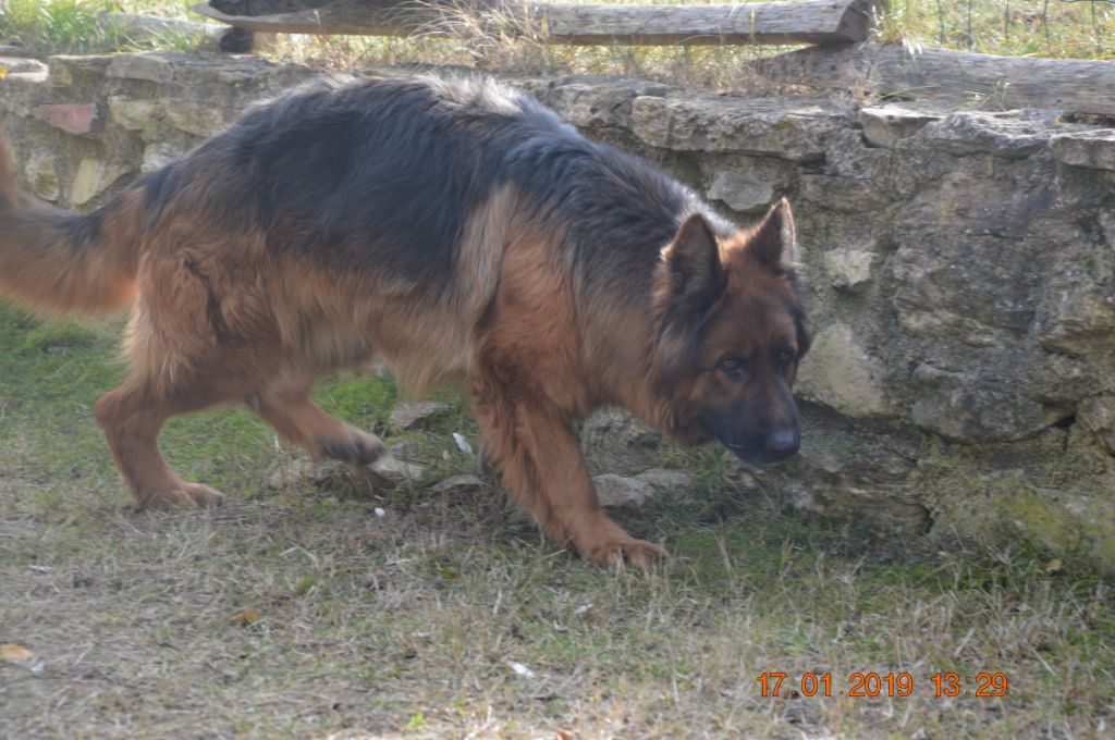 Publication : Des Terres D'Harmony