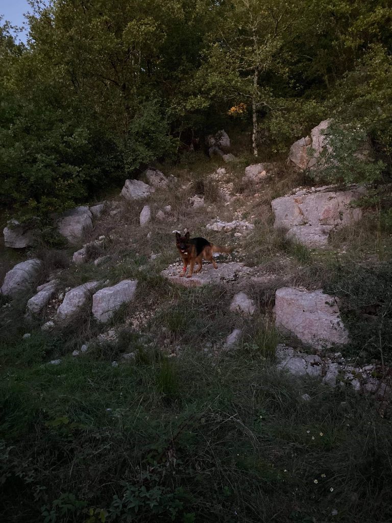 Publication : Des Terres D'Harmony