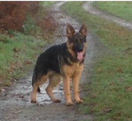 Publication : Des Terres D'Harmony