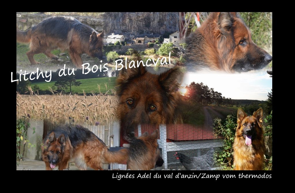 Publication : Des Terres D'Harmony