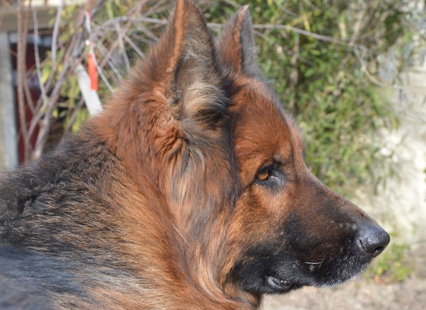 Publication : Des Terres D'Harmony