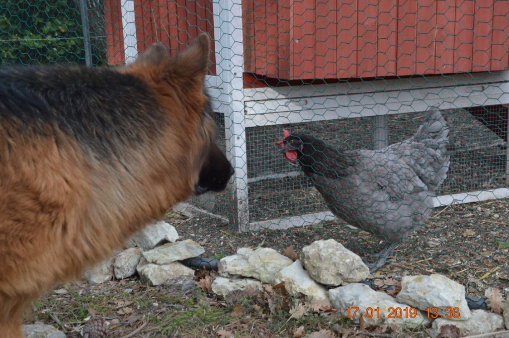 Publication : Des Terres D'Harmony