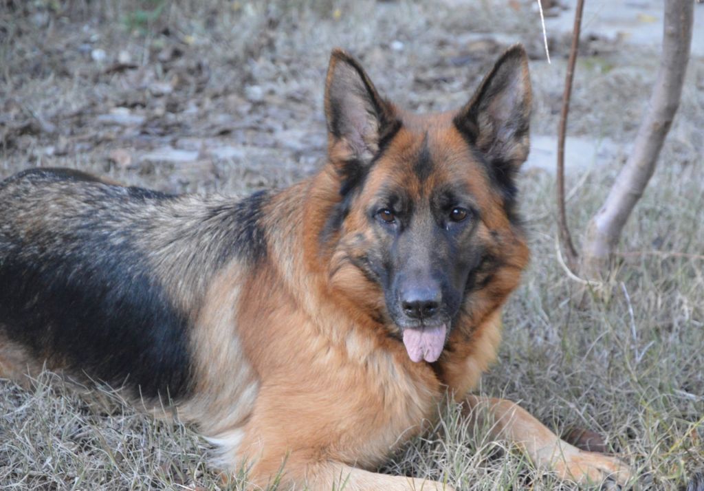Léa du Domaine du parc - 3eme classe 9/12