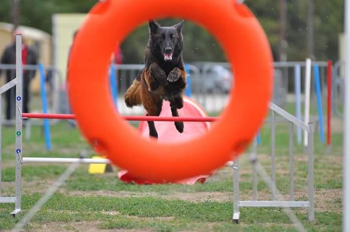 Indra du Domaine D'Emyty