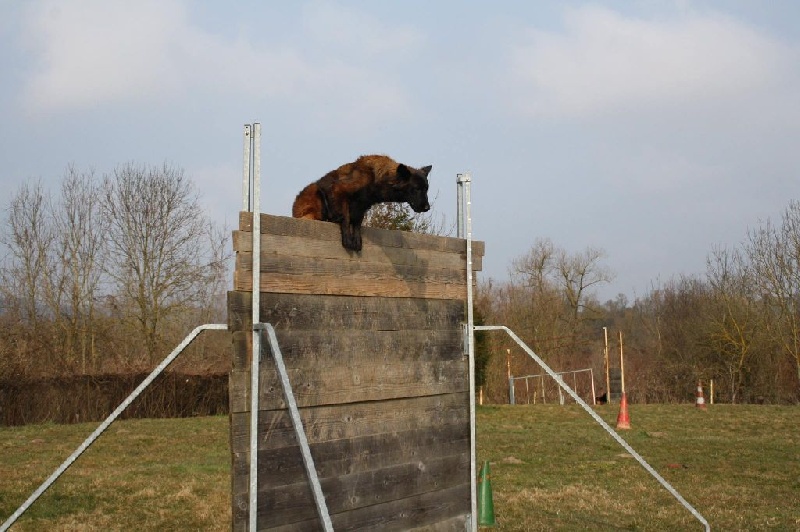 Indra du Domaine D'Emyty