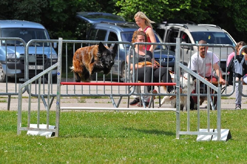 Indra du Domaine D'Emyty