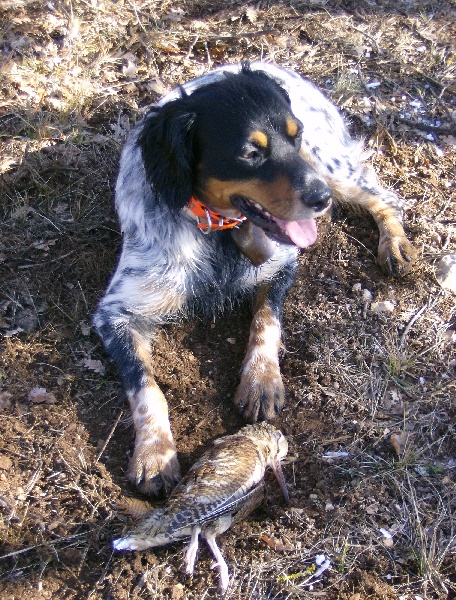 Publication : De La Ferme Du Claus Auteur : DEJULY CHARLES